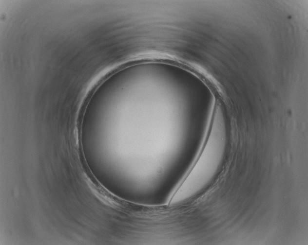 X0000075371372200609080821