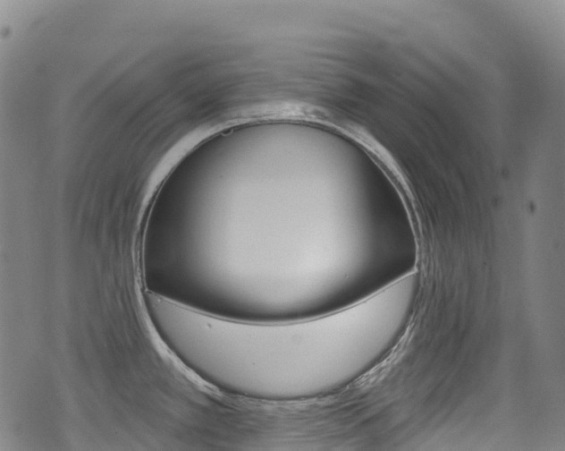 X0000075371389200609080820