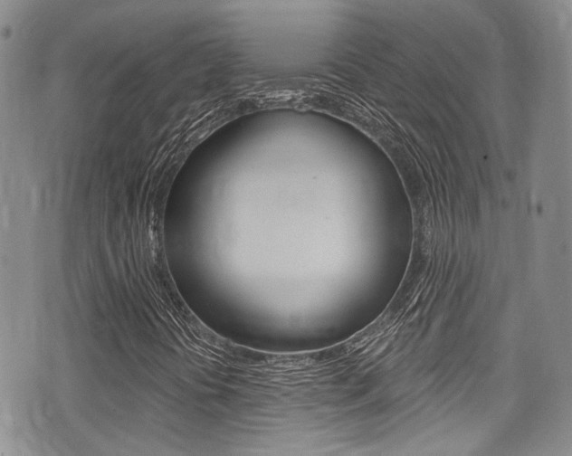 X0000075371394200609080819