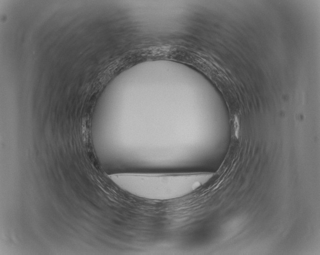 X0000075371395200609080820