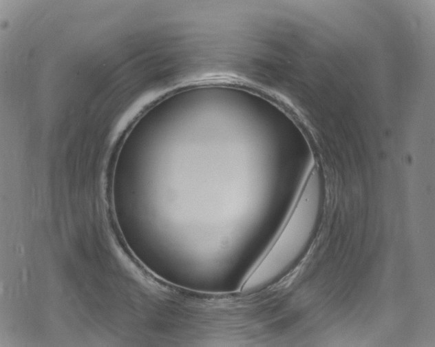 X0000075371422200609080820
