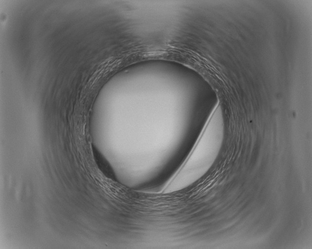 X0000075371441200609080819