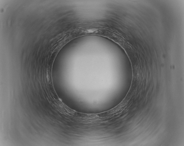 X0000075371442200609080819