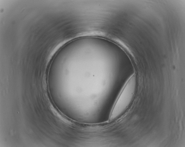 X0000075371468200609080819