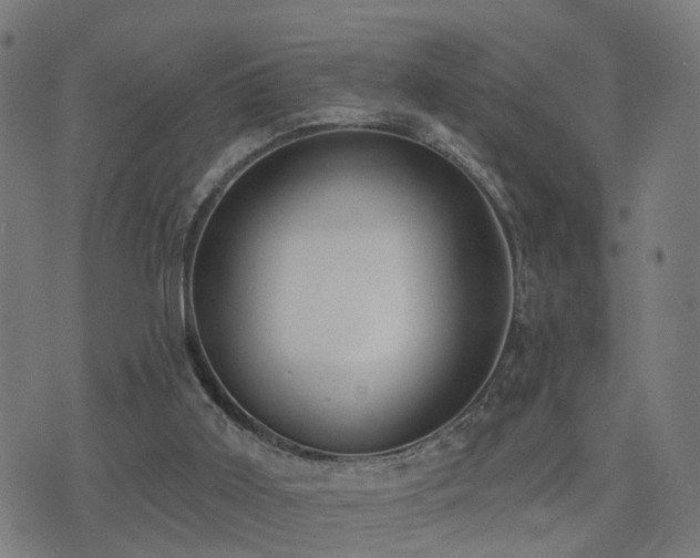 X0000075370011200609081151