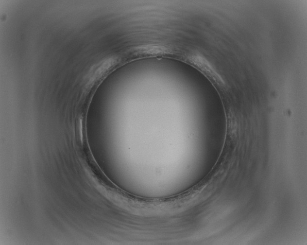 X0000075370014200609081151