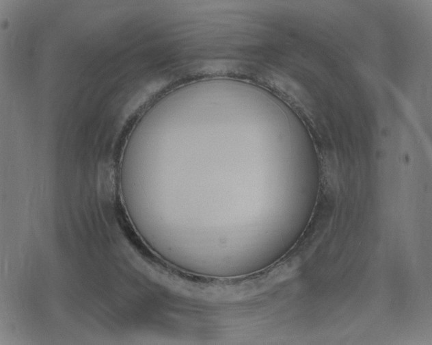 X0000075370016200609081151