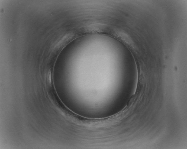 X0000075370021200609081151