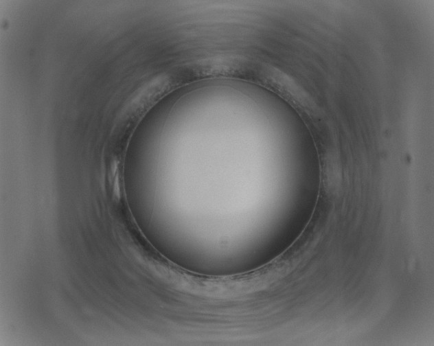 X0000075370022200609081151