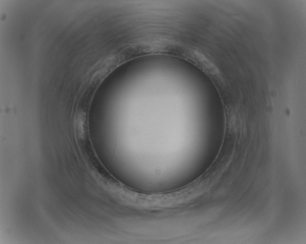 X0000075370026200609081151