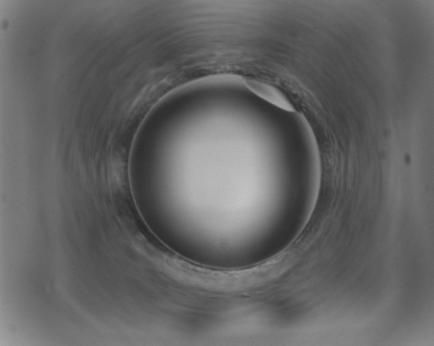 X0000075370035200609081151