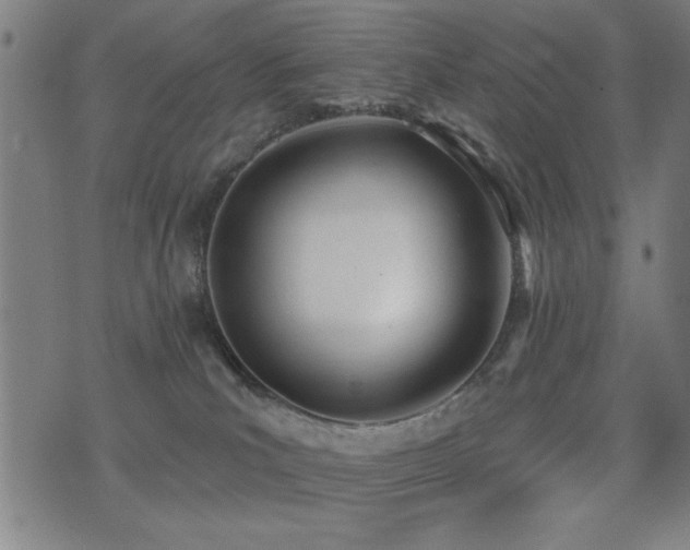 X0000075370039200609081150
