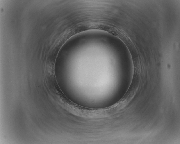X0000075370044200609081150