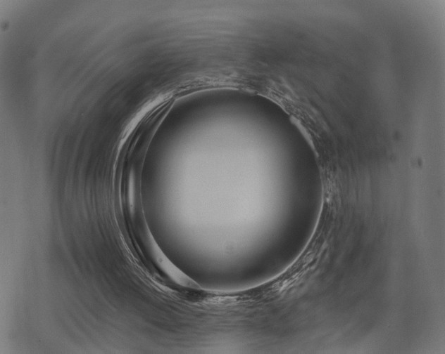 X0000075370052200609081150