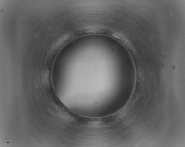 X0000075370066200609081150