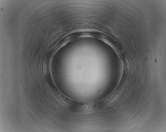 X0000075370080200609081150