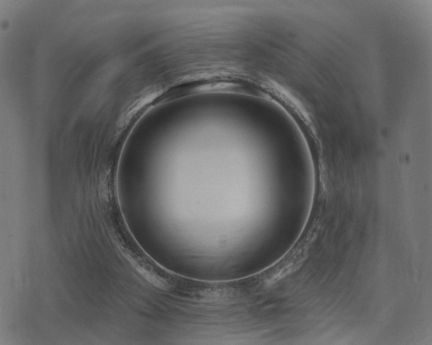 X0000075370105200609081149