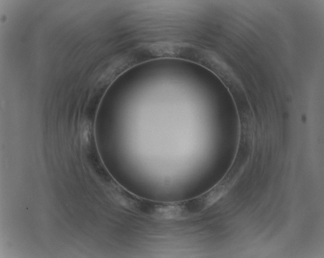 X0000075370125200609081149