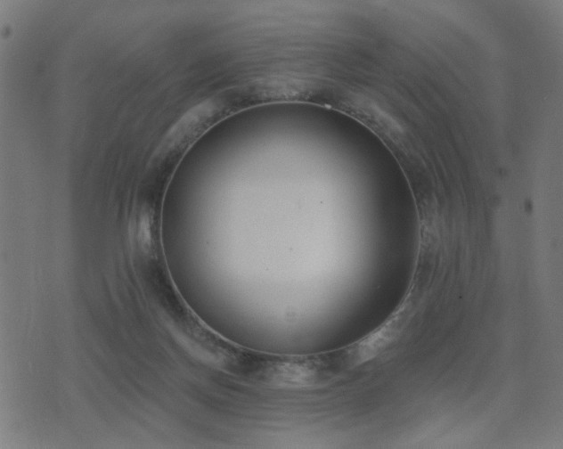 X0000075370166200609081148