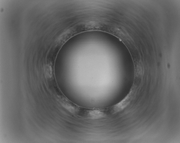 X0000075370183200609081149