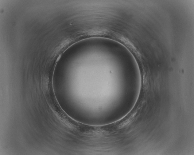 X0000075370201200609081148