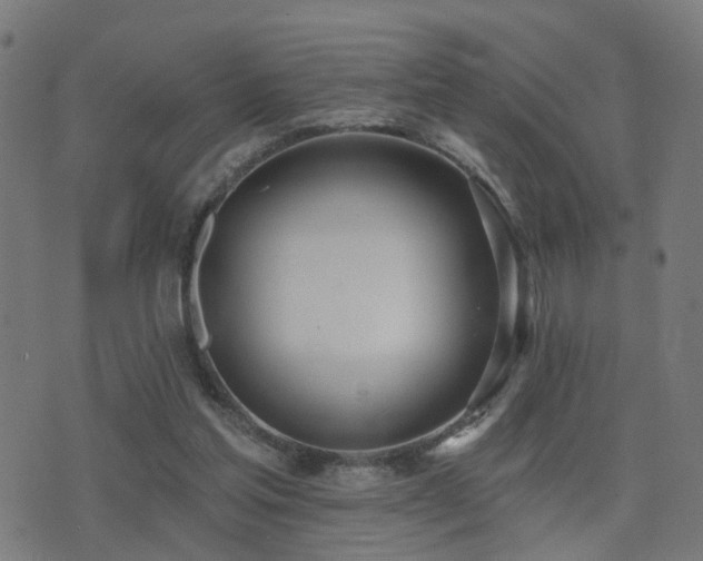 X0000075370205200609081148