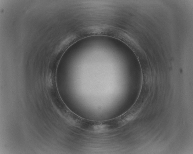 X0000075370216200609081148