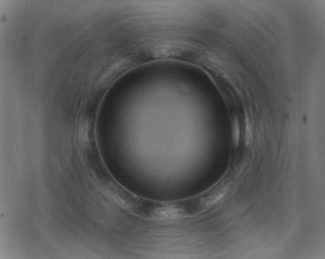 X0000075370219200609081147
