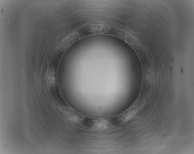 X0000075370226200609081147