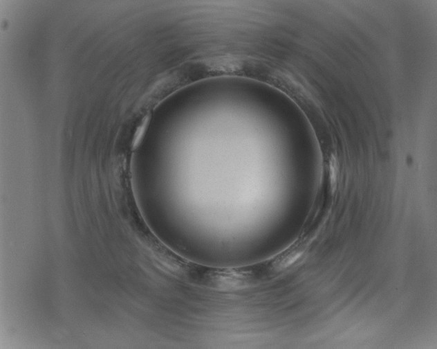 X0000075370229200609081147
