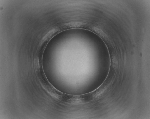 X0000075370254200609081147