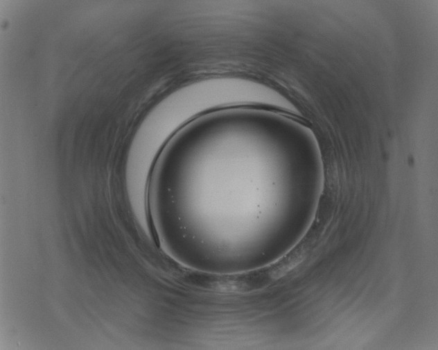 X0000075370264200609081147