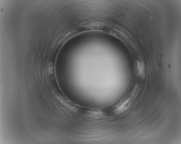 X0000075370284200609081147