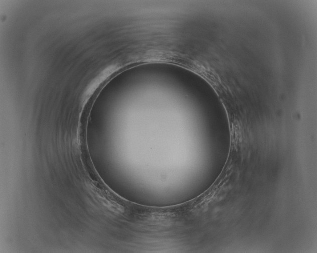 X0000075370292200609081146