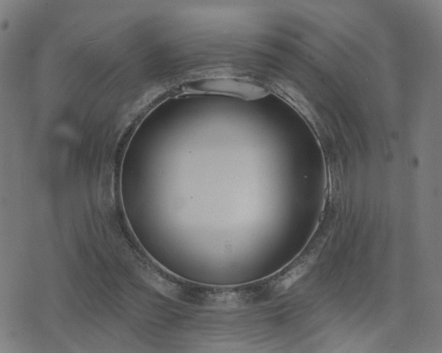 X0000075370301200609081146