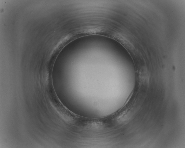 X0000075370304200609081146
