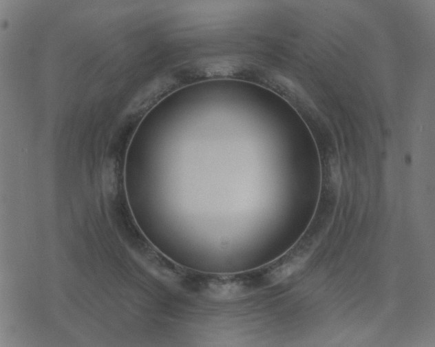 X0000075370311200609081146
