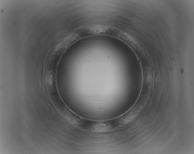 X0000075370315200609081146