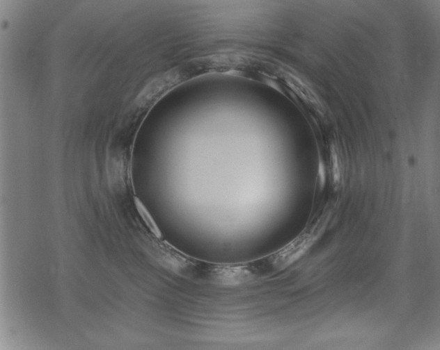 X0000075370333200609081146