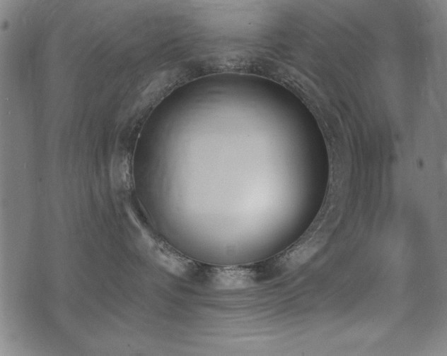 X0000075370336200609081146