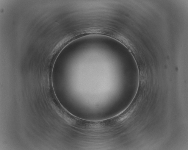 X0000075370349200609081145