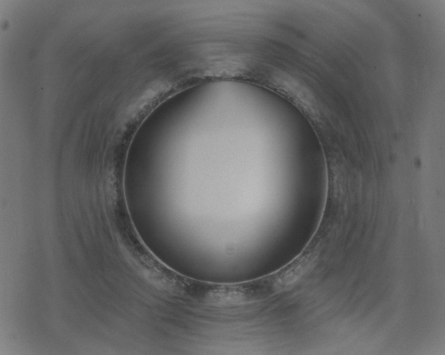 X0000075370354200609081145