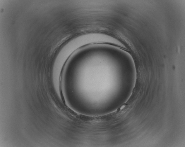 X0000075370356200609081145