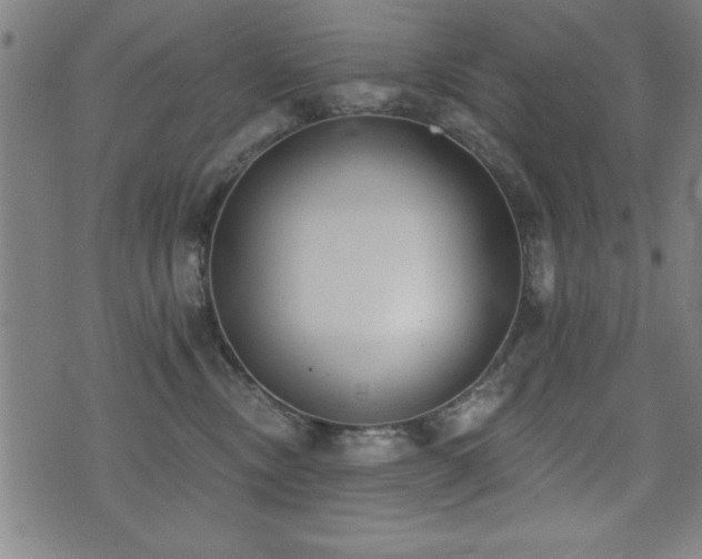 X0000075370378200609081145