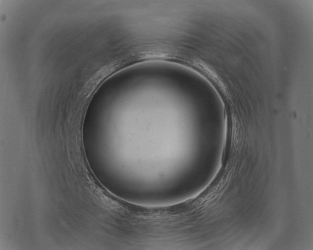 X0000075370385200609081145