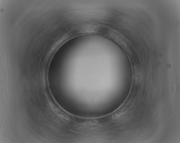 X0000075370386200609081145