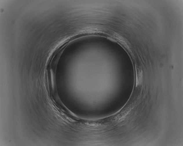 X0000075370387200609081145