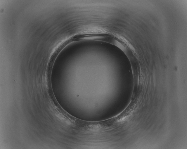 X0000075370391200609081145