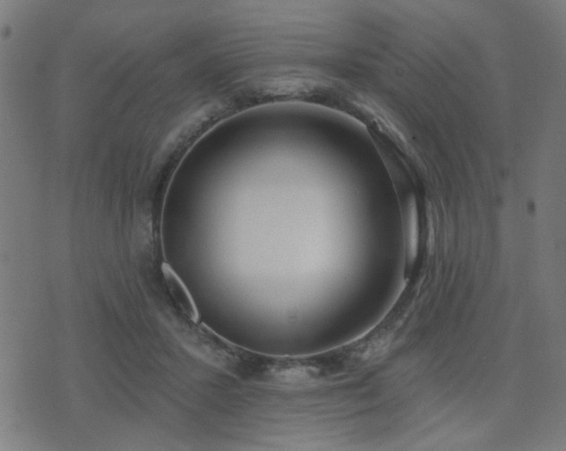 X0000075370407200609081144