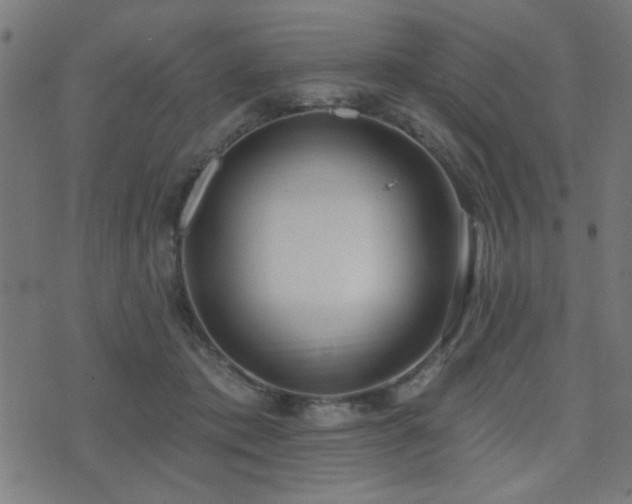X0000075370413200609081144